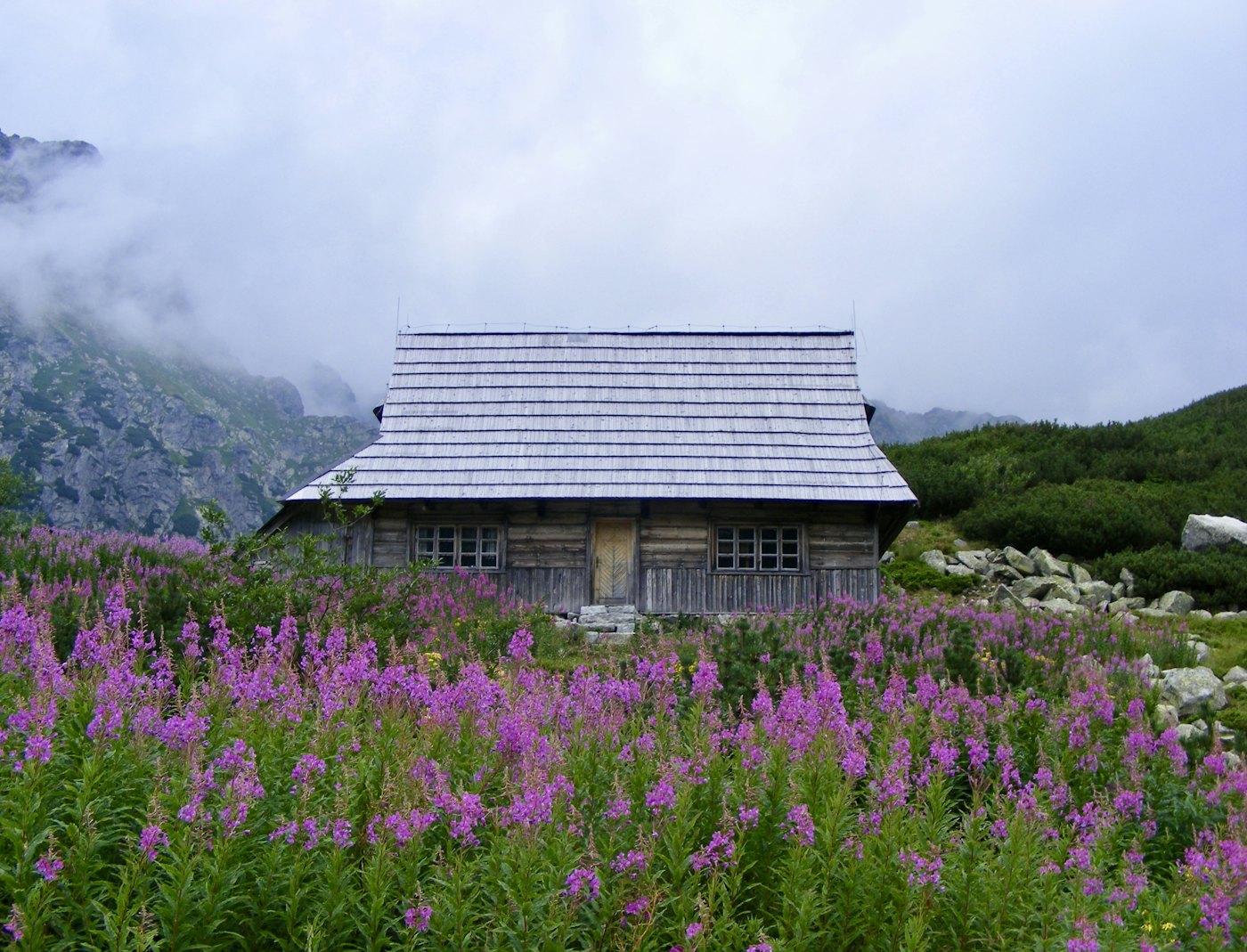 Tatry w sercu Podhala